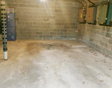522 N Maple - Photo Thumbnail 11