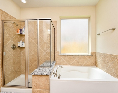 4302 Trinity Creek Court - Photo Thumbnail 20