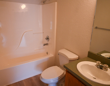 257 Harp Terrace - Photo Thumbnail 9