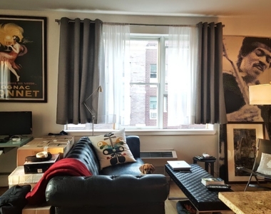 24 Cook Street - Photo Thumbnail 3