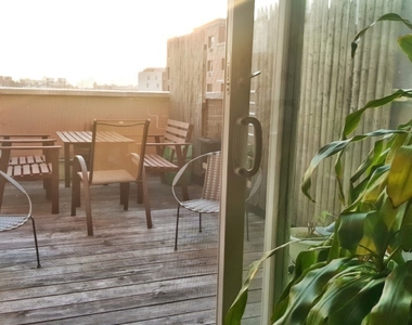 24 Cook Street - Photo Thumbnail 6