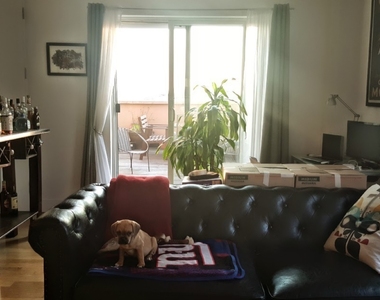 24 Cook Street - Photo Thumbnail 5