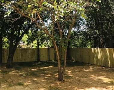 1719 Park Street - Photo Thumbnail 18