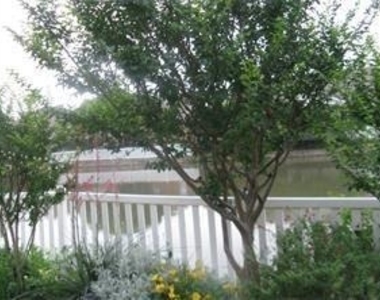 5414 Plantation Lane - Photo Thumbnail 4