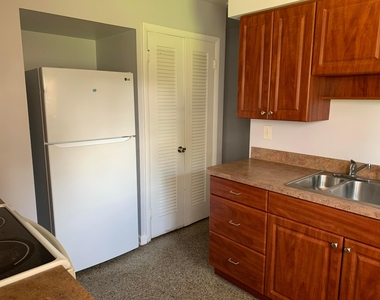 363 Hosbine Street - Photo Thumbnail 6