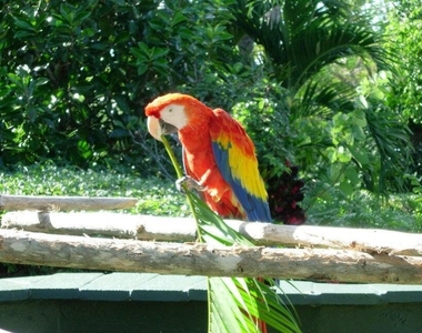 5280 N Ocean Drive - Photo Thumbnail 68