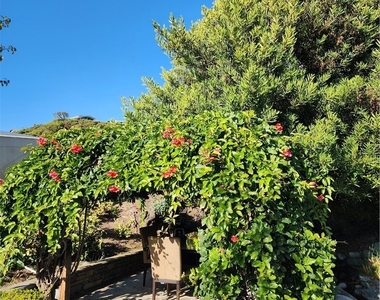 32732 Mediterranean Drive - Photo Thumbnail 17