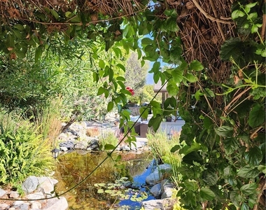32732 Mediterranean Drive - Photo Thumbnail 16