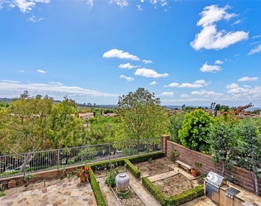 25 Tall Hedge - Photo Thumbnail 32