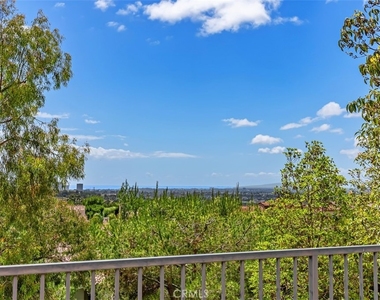 25 Tall Hedge - Photo Thumbnail 35