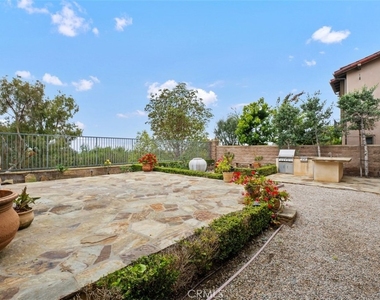 25 Tall Hedge - Photo Thumbnail 28