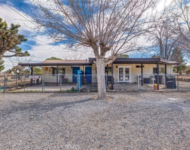 7432 Dumosa - Photo Thumbnail 3