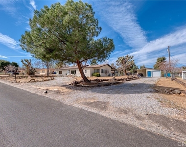 7432 Dumosa - Photo Thumbnail 23