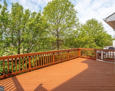 43709 Clemens Terrace - Photo Thumbnail 41