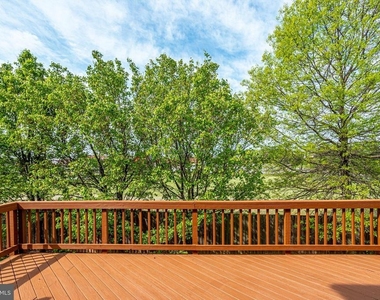 43709 Clemens Terrace - Photo Thumbnail 42