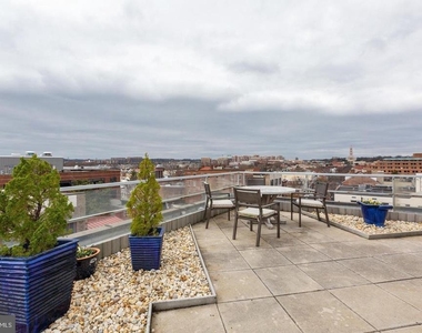 815 King Street - Photo Thumbnail 16