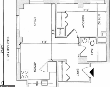 204 S 17th Street - Photo Thumbnail 25