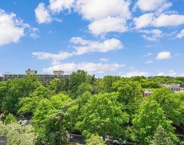 4301 Massachusetts Avenue Nw - Photo Thumbnail 23