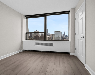 1360 N Sandburg Terrace - Photo Thumbnail 10