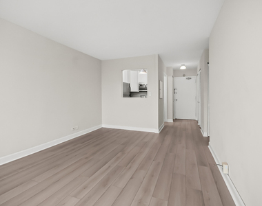 1360 N Sandburg Terrace - Photo Thumbnail 5