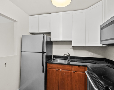 1360 N Sandburg Terrace - Photo Thumbnail 7