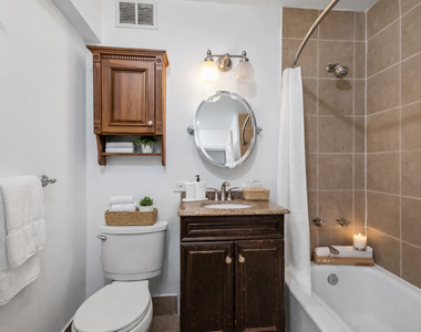 1360 N Sandburg Terrace - Photo Thumbnail 11