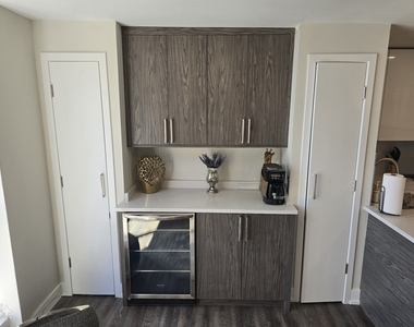 227 E Walton Place - Photo Thumbnail 2