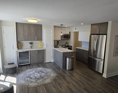 227 E Walton Place - Photo Thumbnail 3