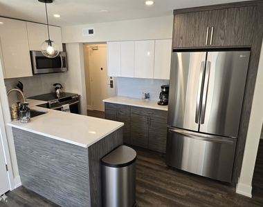 227 E Walton Place - Photo Thumbnail 1