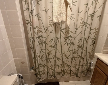 1354 W George Street - Photo Thumbnail 12