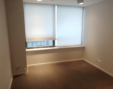 233 E Erie Street - Photo Thumbnail 13