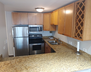 233 E Erie Street - Photo Thumbnail 9