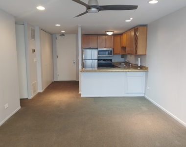 233 E Erie Street - Photo Thumbnail 4