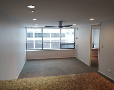 233 E Erie Street - Photo Thumbnail 5