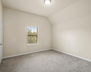 15006 Aster Petal Court - Photo Thumbnail 12