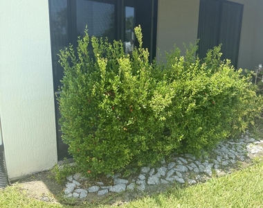 2640 Treasure Cay Lane - Photo Thumbnail 16