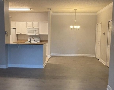 417 Southern Pecan Circle - Photo Thumbnail 2