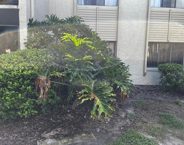 3298 Semoran Boulevard - Photo Thumbnail 6