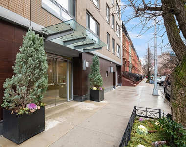 171 West 131st Street - Photo Thumbnail 9
