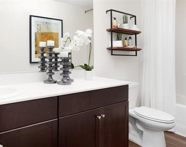 907 Wildflower Street - Photo Thumbnail 15