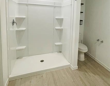1405 Merlin Bluff Street - Photo Thumbnail 3