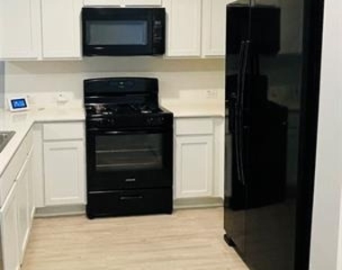 1405 Merlin Bluff Street - Photo Thumbnail 5