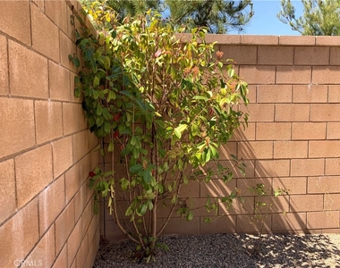107 Yuba - Photo Thumbnail 55