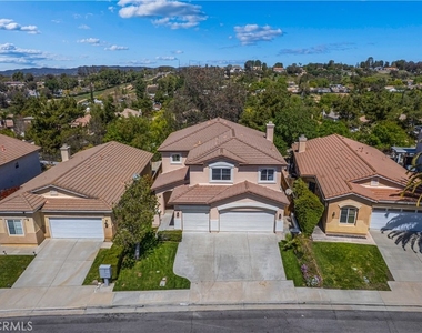 41258 Pine Tree - Photo Thumbnail 1