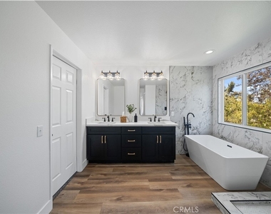 41258 Pine Tree - Photo Thumbnail 23