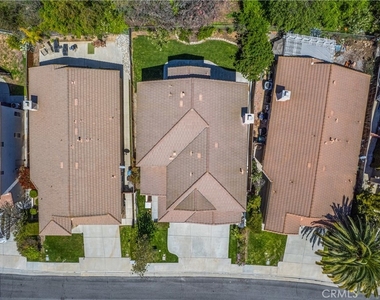 41258 Pine Tree - Photo Thumbnail 2