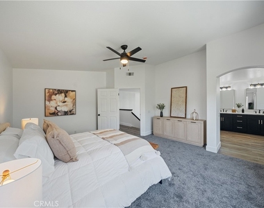 41258 Pine Tree - Photo Thumbnail 22