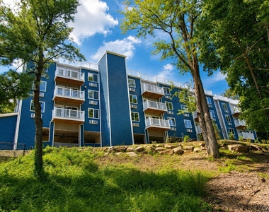 16 Dowd Street - Photo Thumbnail 38