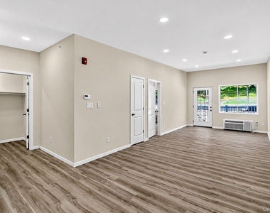 16 Dowd Street - Photo Thumbnail 6