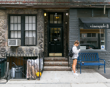 71 Pineapple St 11201 - Photo Thumbnail 4